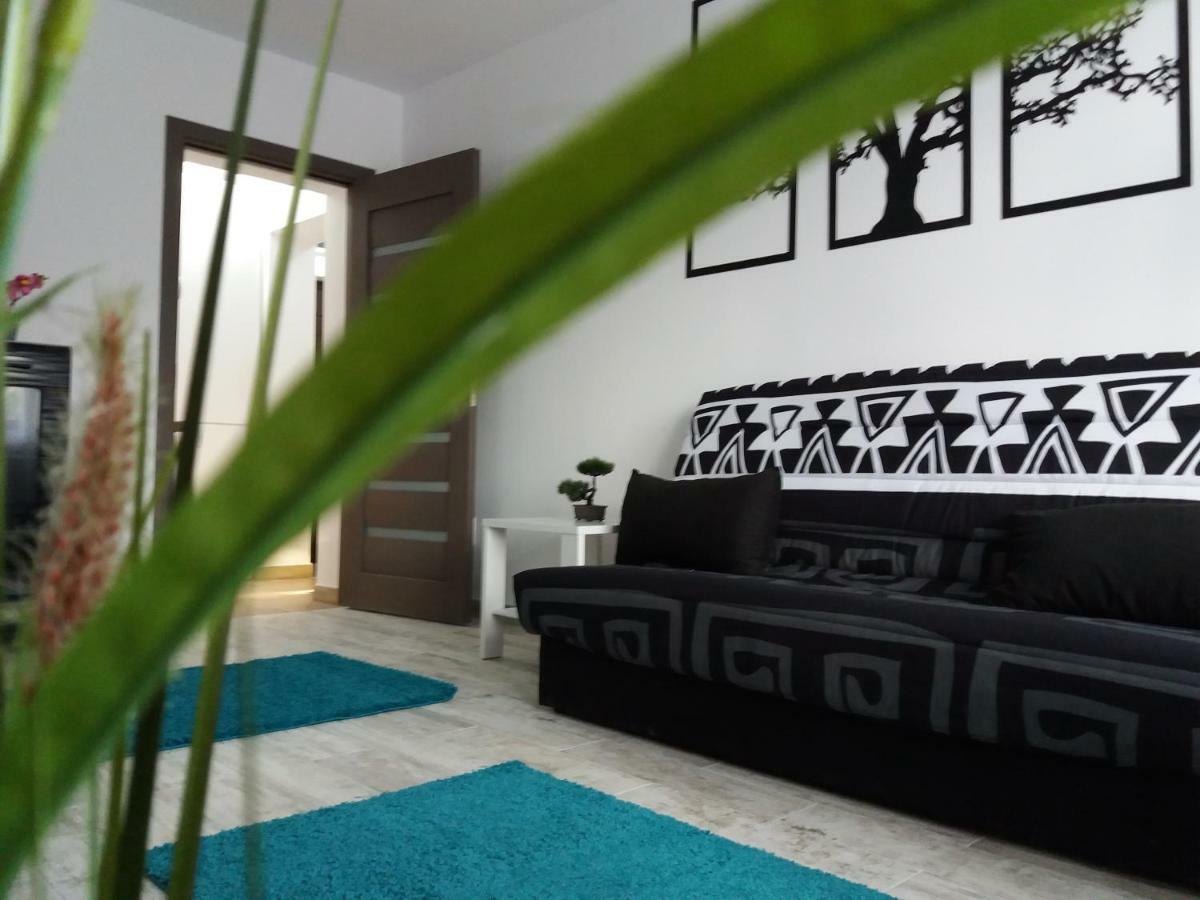 Ferienwohnung Apartament Elefant Tg. Ocna Tîrgu Ocna Exterior foto